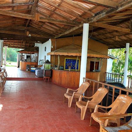 Darwins Beach Resort Тангалла Экстерьер фото