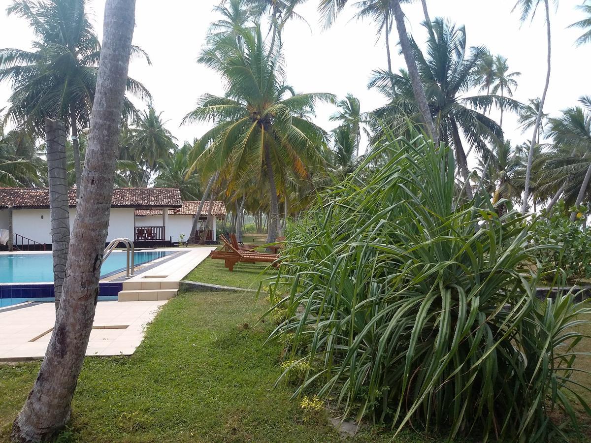 Darwins Beach Resort Тангалла Экстерьер фото