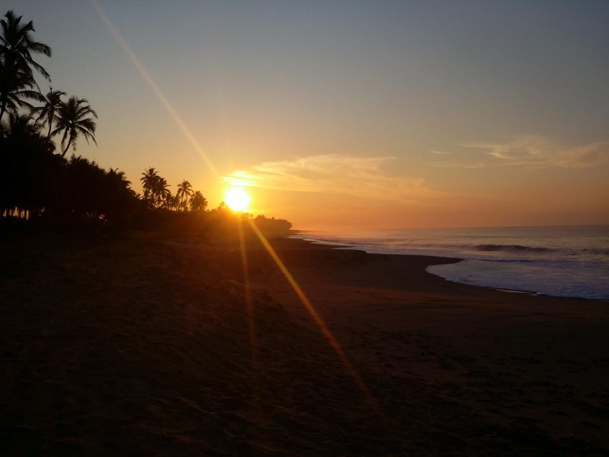 Darwins Beach Resort Тангалла Экстерьер фото