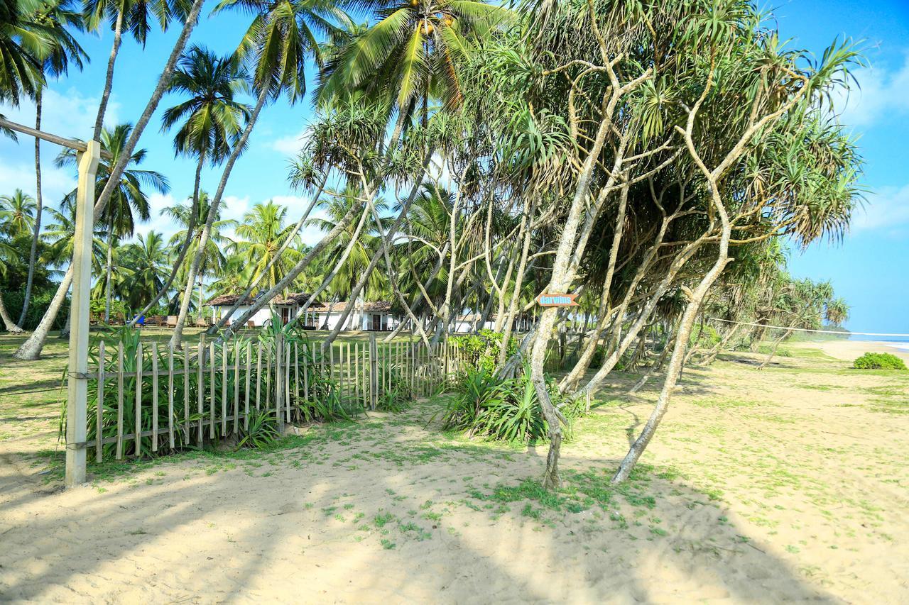 Darwins Beach Resort Тангалла Экстерьер фото