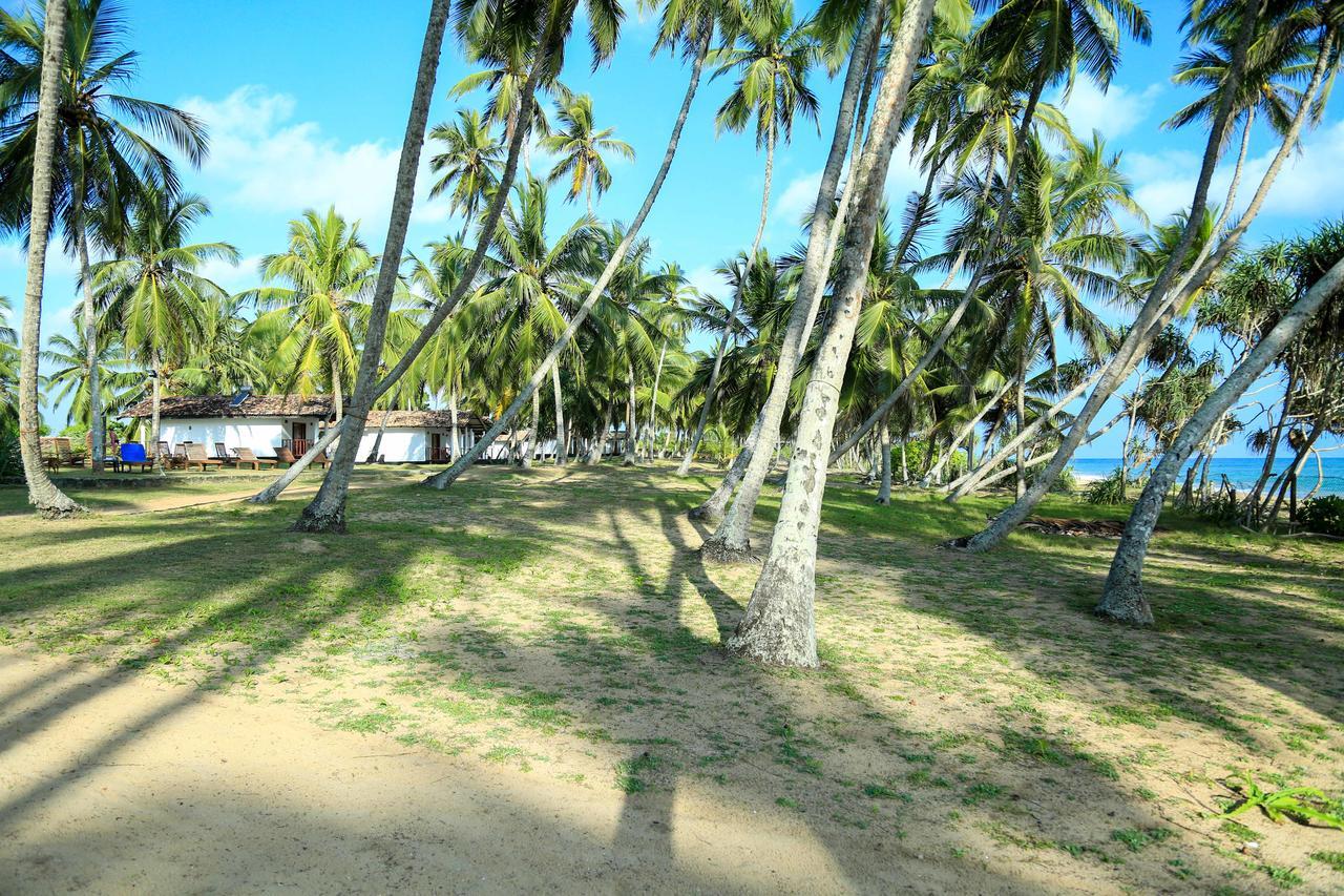 Darwins Beach Resort Тангалла Экстерьер фото