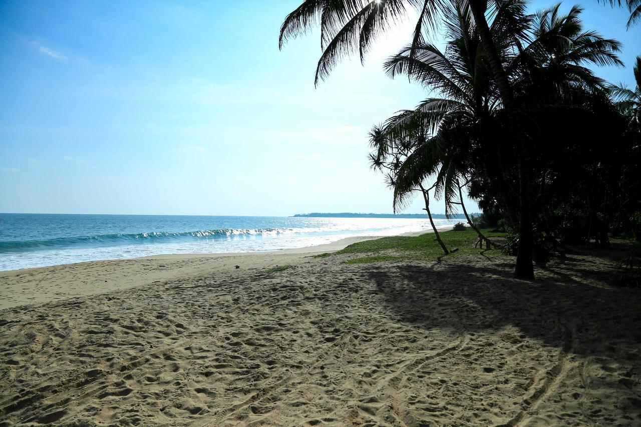 Darwins Beach Resort Тангалла Экстерьер фото