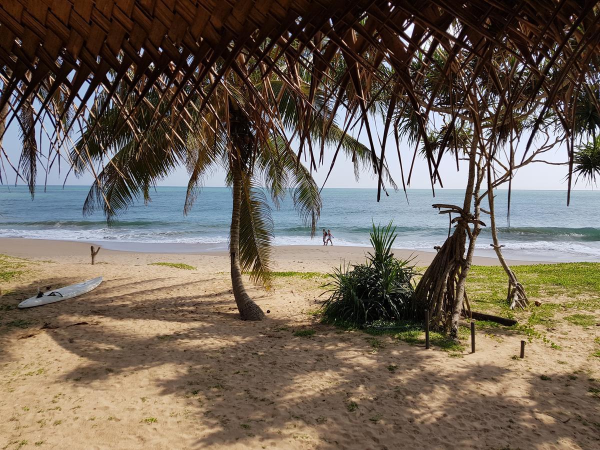 Darwins Beach Resort Тангалла Экстерьер фото